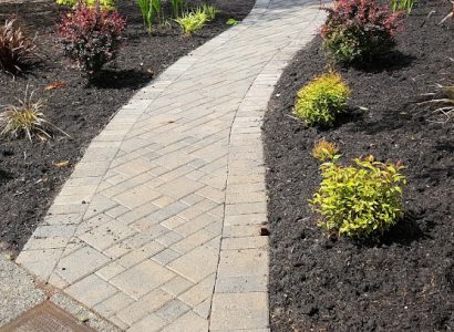 Seasonal yard cleanup and edging